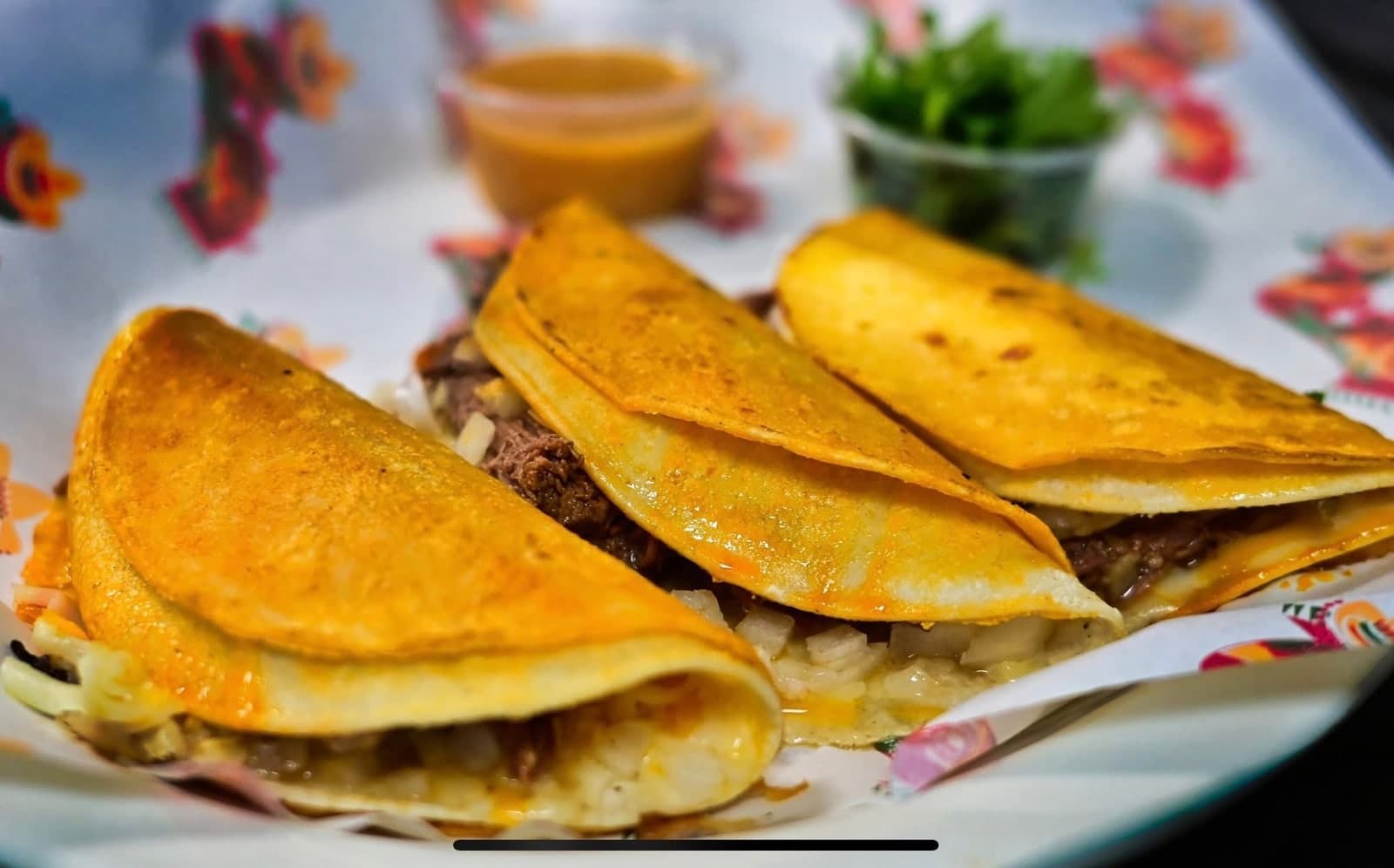Quesabirria tacos with rich consommé.